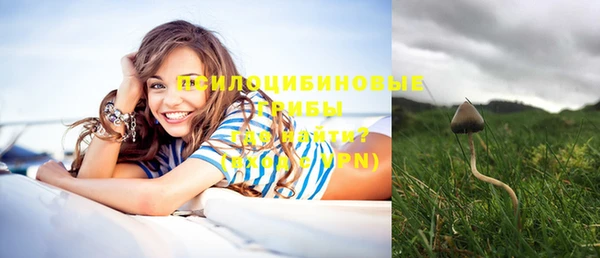 круглые Алексеевка