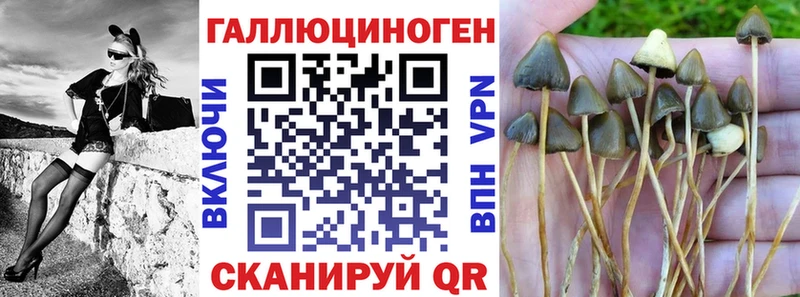 магазин    Болхов  Галлюциногенные грибы MAGIC MUSHROOMS 